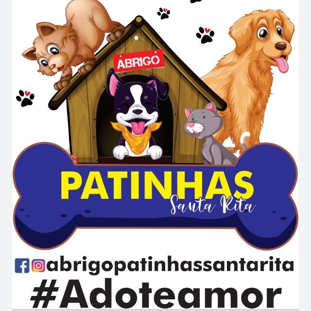 Logomarca Abrigo Patinhas Santa Rita.jpg