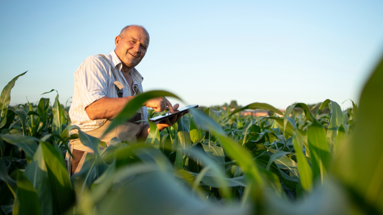 260220251.png 260220251.png