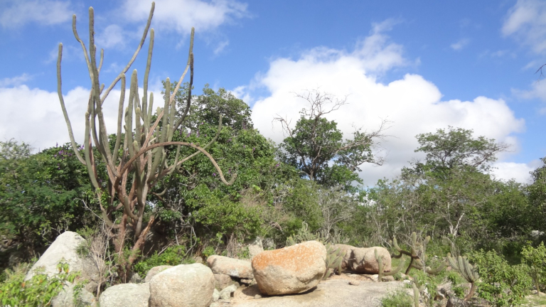 111220241.jpg 111220241.jpg