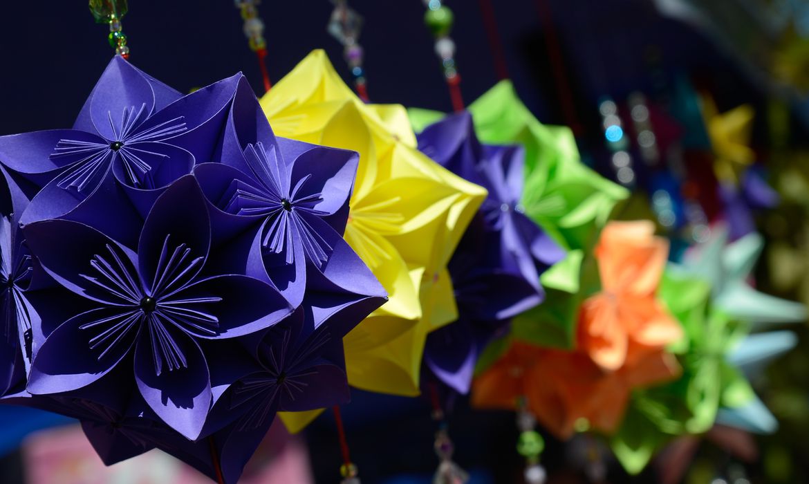 UFPB REALIZA XVII FESTIVAL DO JAPÃO NA PARAÍBA, DE 17 A 19 DE JUNHO Foto: Fernando Frazão/Agência Brasil