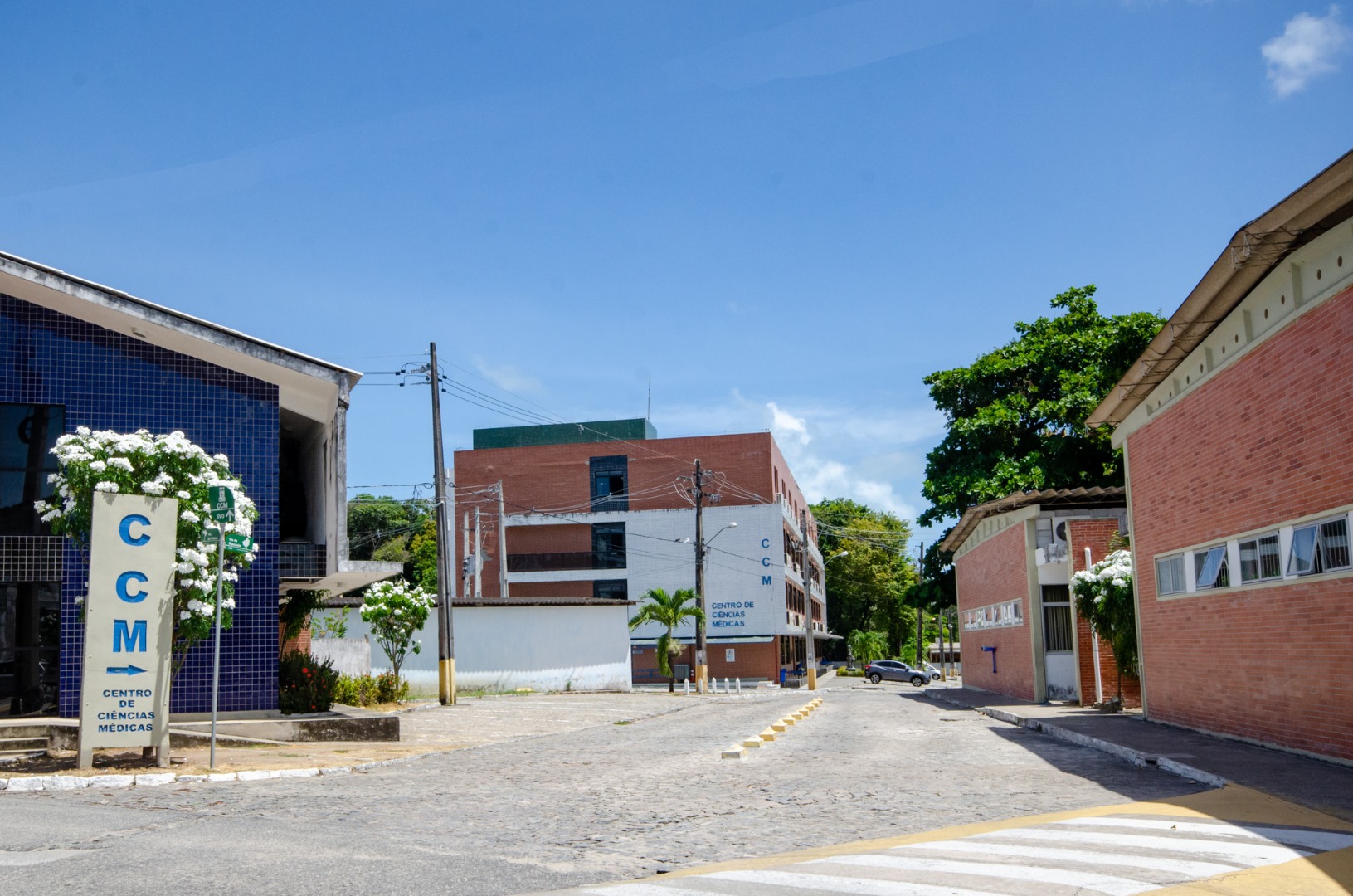 Foto: Angélica Gouveia