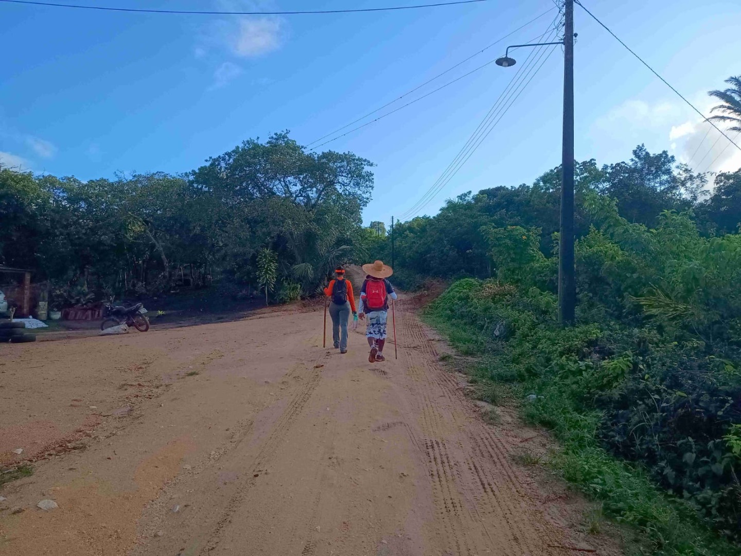 031020244.jpg 031020244.jpg