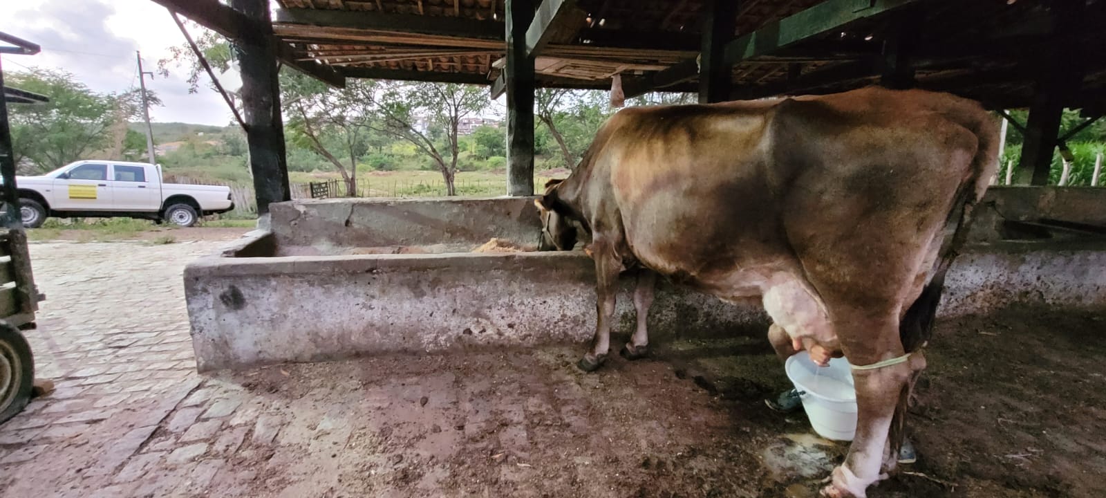 Campus III da UFPB realiza I Dia do Leite nesta quinta-feira (21) Campus III da UFPB realiza I Dia do Leite nesta quinta-feira (21)