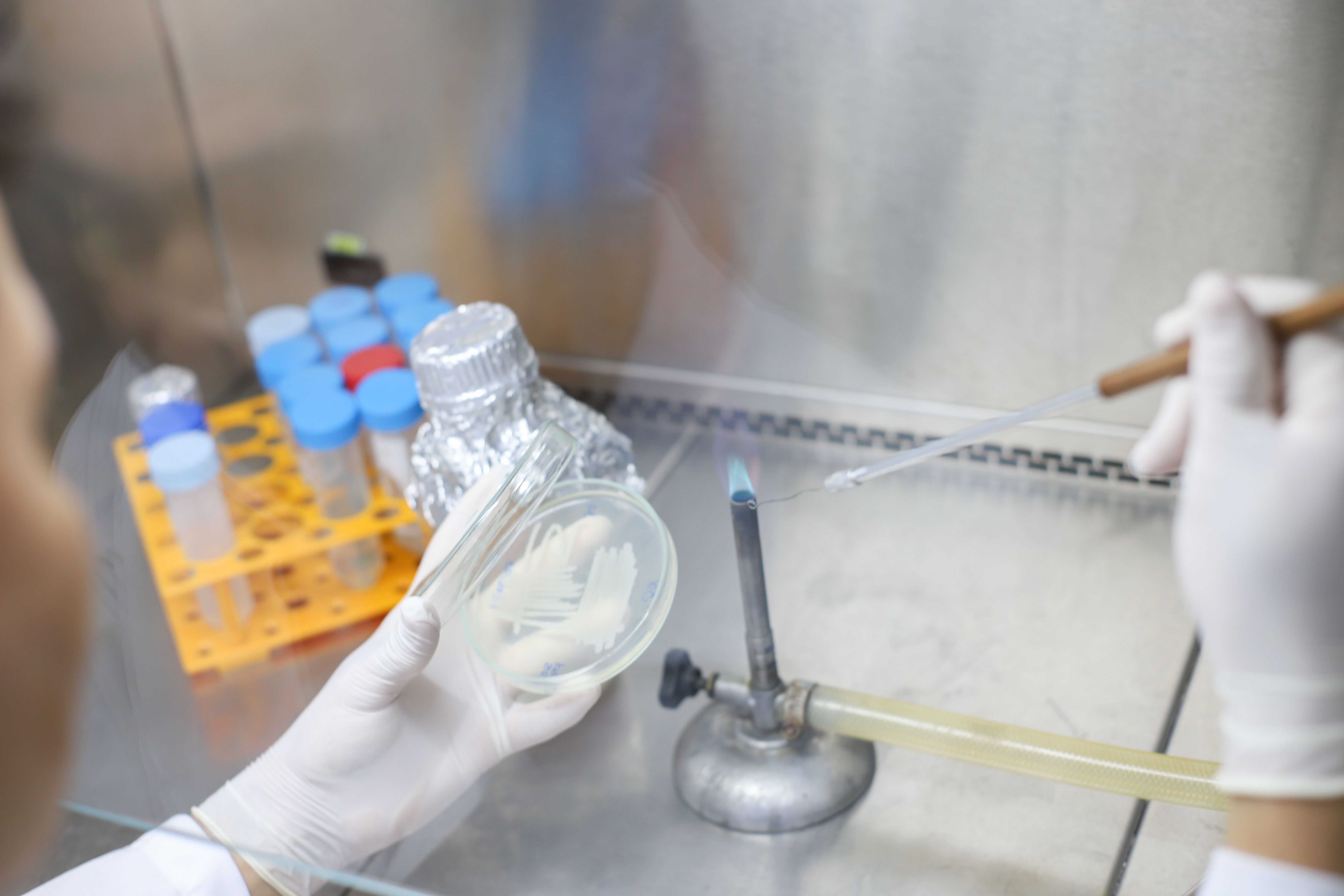 CNPQ LANÇA TRÊS CHAMADAS PÚBLICAS COM INSCRIÇÕES ABERTAS ATÉ O MÊS DE JULHO Foto: Angélica Gouveia