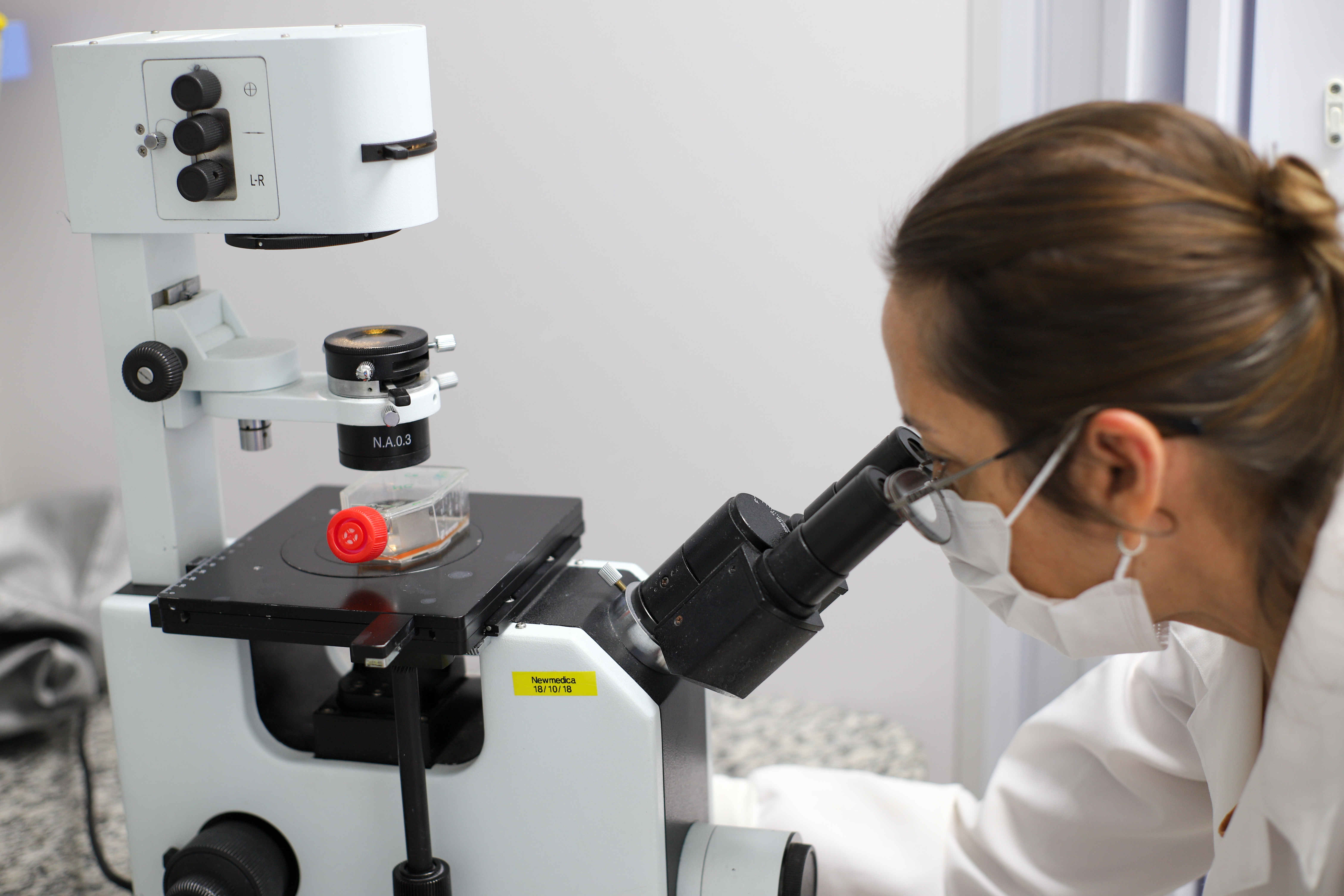 PELO SEGUNDO ANO CONSECUTIVO, UFPB CONQUISTA PRÊMIO DESTAQUE NA INICIAÇÃO CIENTÍFICA E TECNOLÓGICA DO CNPQ Foto: Angélica Gouveia