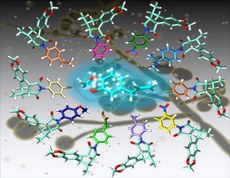 No centro da figura, é possível observar estrutura tridimensional do safrol envolvido pelos dez derivados semissintéticos, todos na forma tridimensional. No fundo, fotografia microscópica do fungo Candida albicans. Crédito: Luiz Cruz