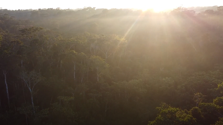 PESQUISADORES DA UFPB INTEGRAM GRUPO QUE ESTUDA IMPACTOS METEOROLÓGICOS DE DISTANTES REGIÕES DO GLOBO NA AMAZÔNIA Foto: Gustavo Ribeiro