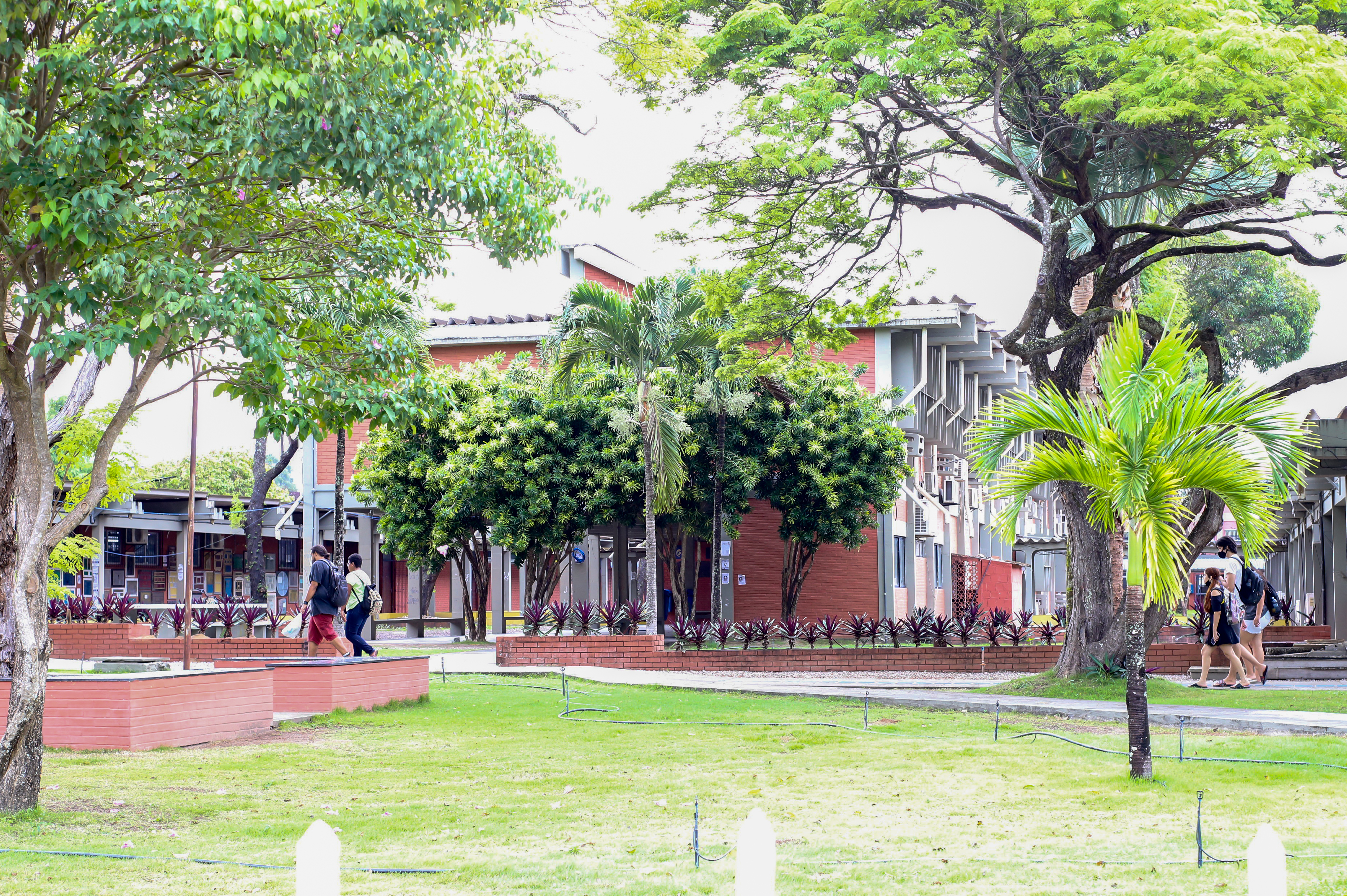 PROGRAMA IDIOMAS SEM FRONTEIRAS ABRE VAGA PARA PROFESSOR BOLSISTA DE FRANCÊS Foto: Angélica Gouveia