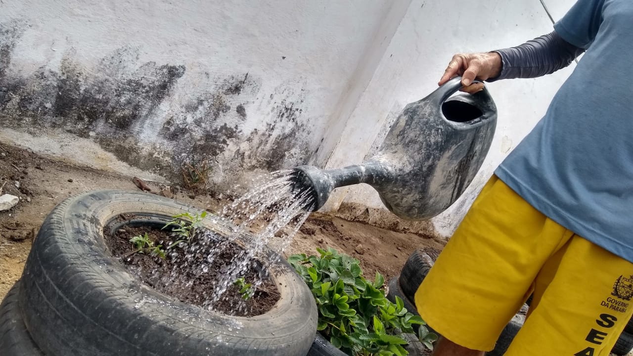 PROJETO DA UFPB EM BANANEIRAS BUSCA RESSOCIALIZAÇÃO DE DETENTOS INVESTINDO EM PRODUTOS AGROECOLÓGICOS Foto: Diogo Fernandes da Silva
