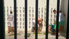 Hortas verticais são instaladas a partir de garrafas PET. Crédito: Divulgação