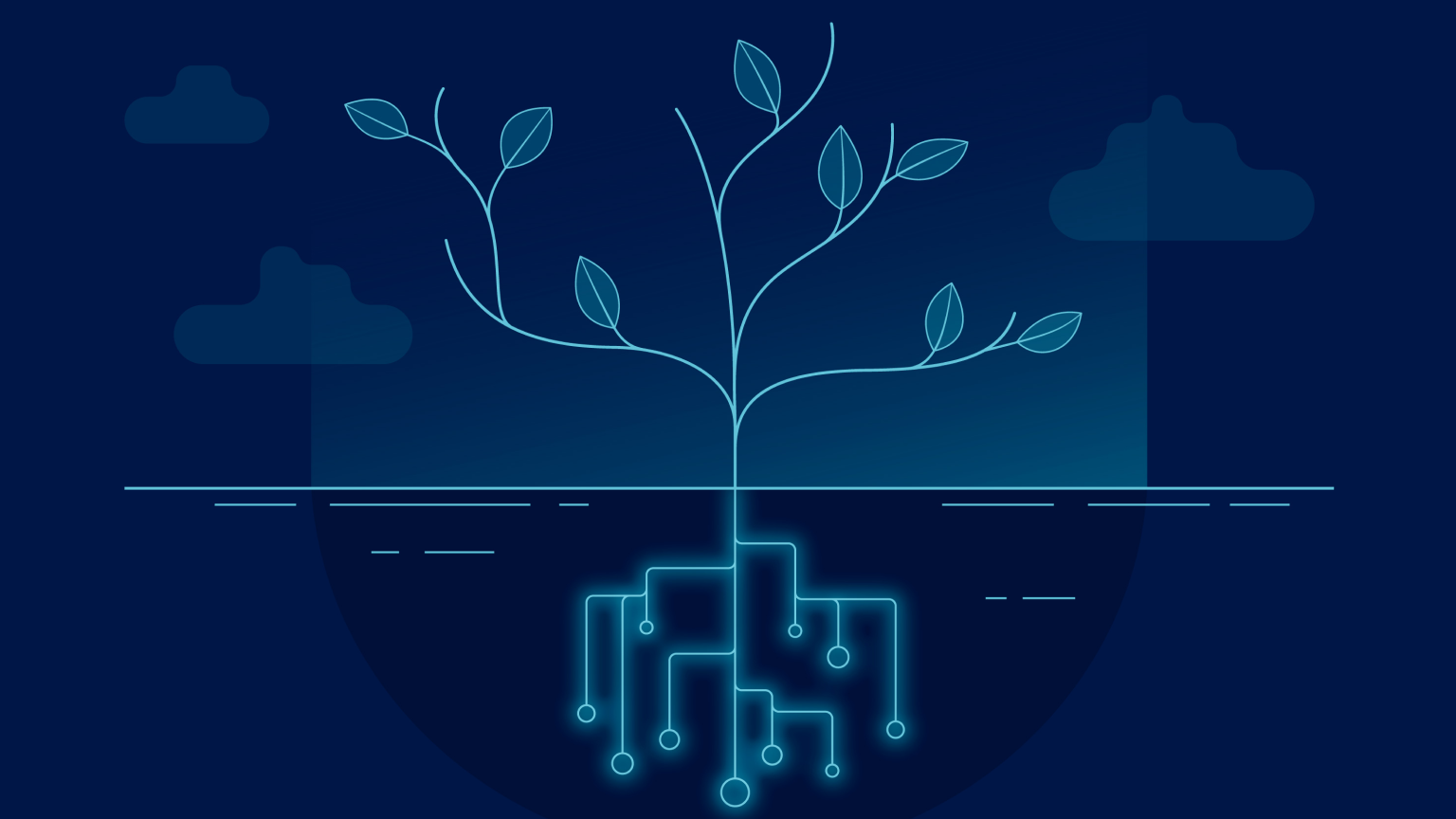 111120251.png 111120251.png