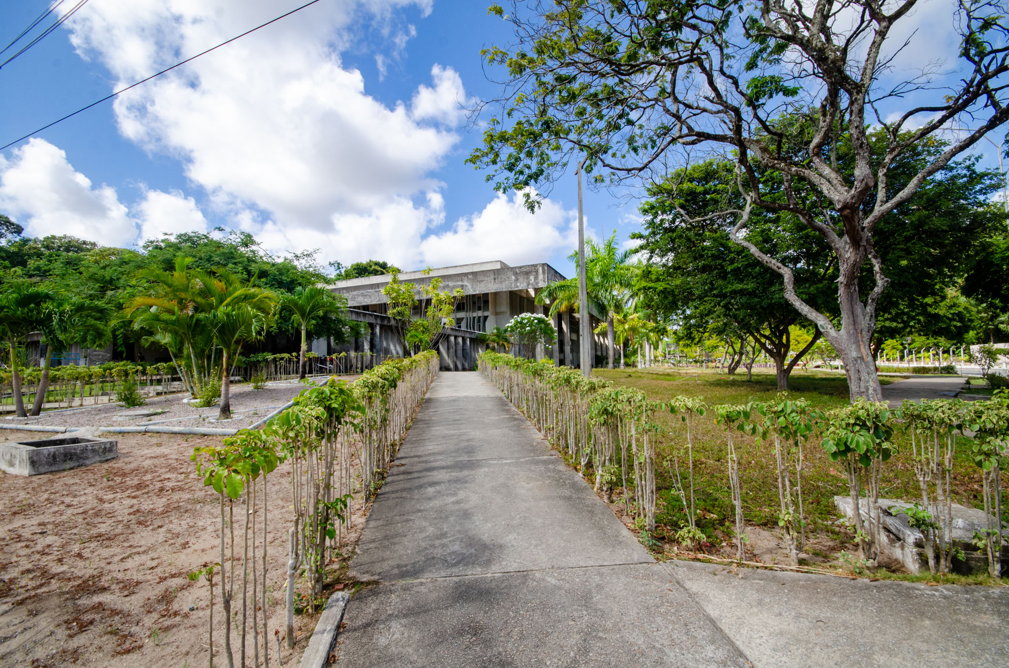 Foto: Angélica Gouveia