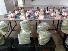 Interessados devem contribuir por meio do site disponível para doação a mulheres em vulnerabilidade devido à pandemia da Covid-19. Crédito: Proex/Reprodução/Autoria Desconhecida