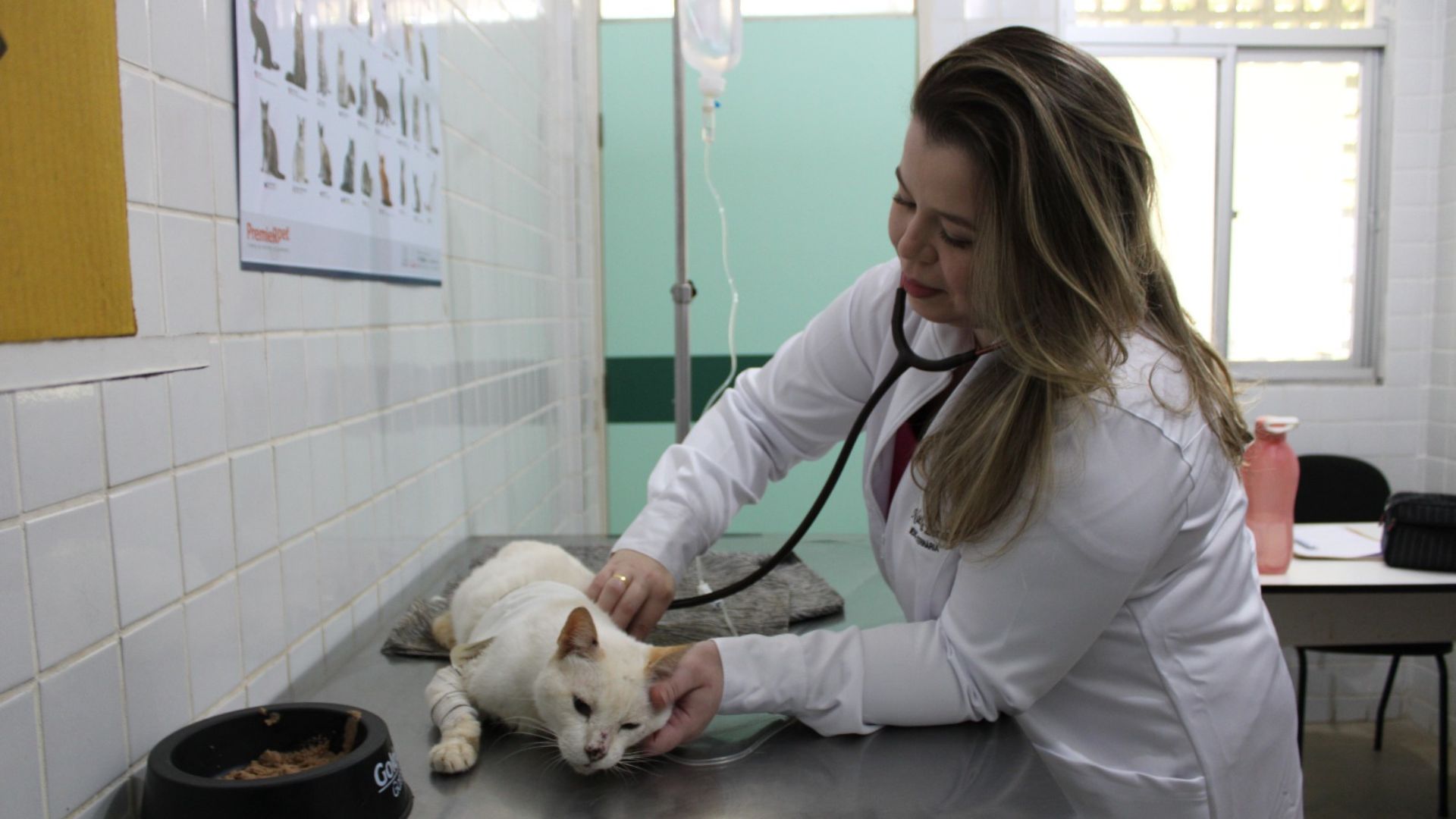 UFPB aprova resolução que cria o programa de residência integrado à pós-graduação UFPB aprova resolução que cria o programa de residência integrado à pós-graduação