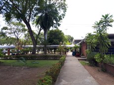 Campanha acelera processos administrativos. Créditos: Oriel Farias