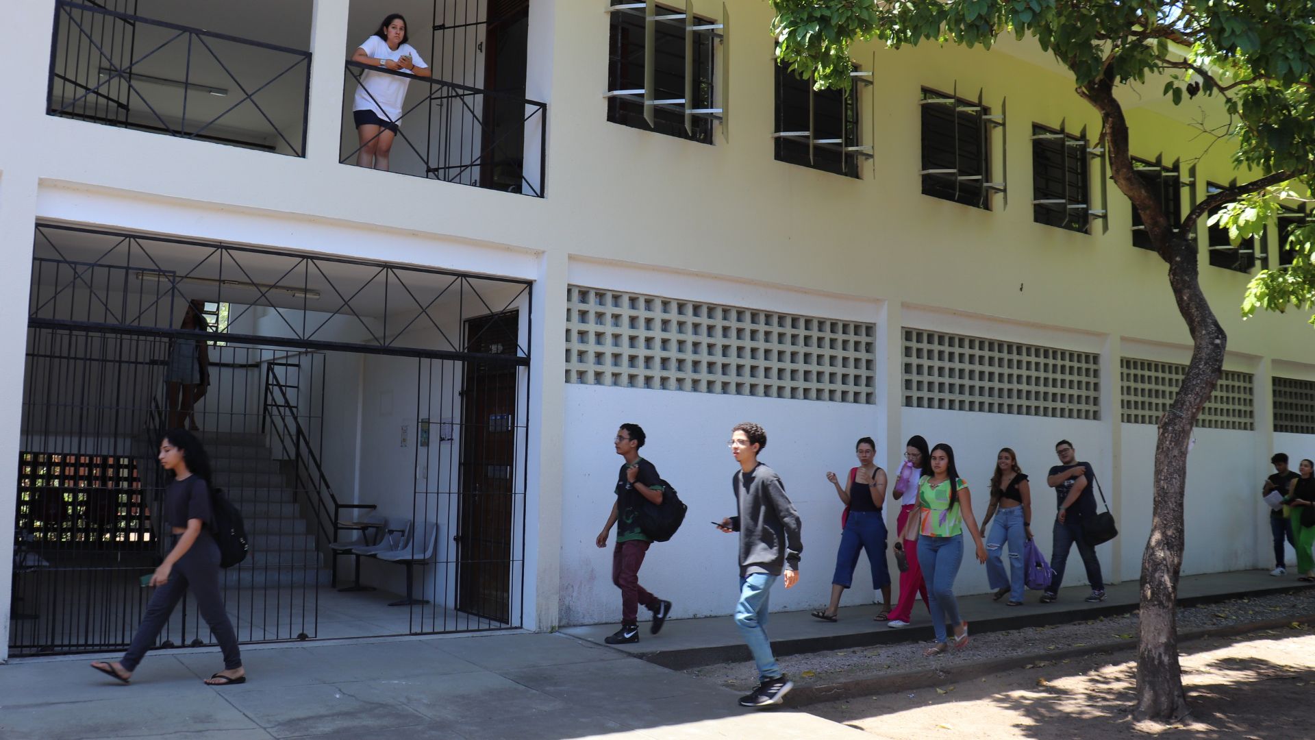 UFPB lança sistema pioneiro no Brasil para monitoramento e transparência dos auxílios estudantis UFPB lança sistema pioneiro no Brasil para monitoramento e transparência dos auxílios estudantis