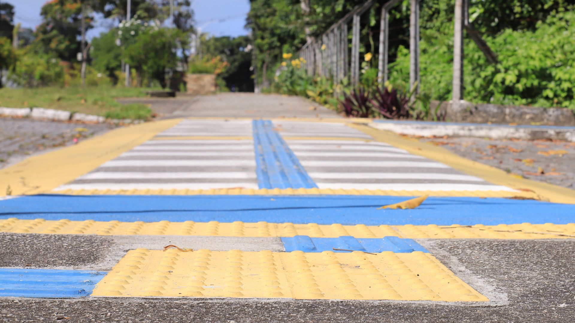 UFPB oferece 84 bolsas para o Programa Aluno Apoiador