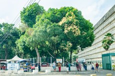 Formação é destinada a profissionais que prestam assistência, em unidades de saúde como o HU, a pessoas com doenças crônicas progressivas. Foto: Angélica Gouveia
