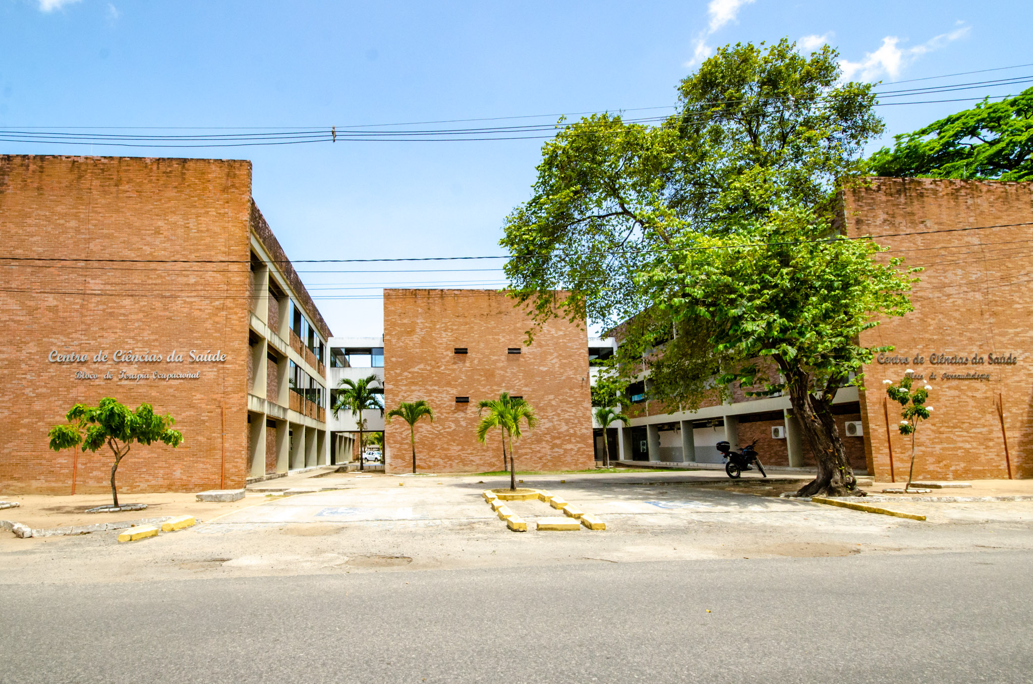 Foto: Angélica Gouveia