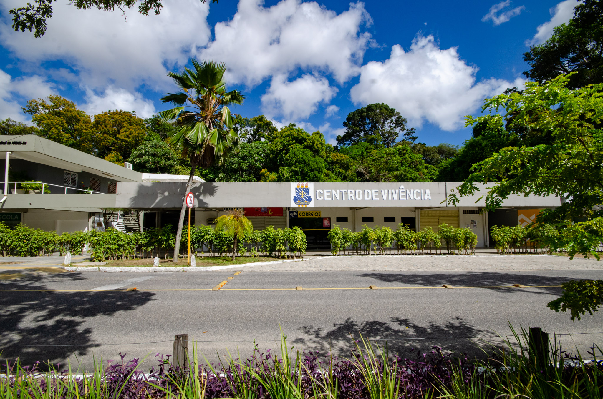 Foto Angélica Gouveia Foto Angélica Gouveia