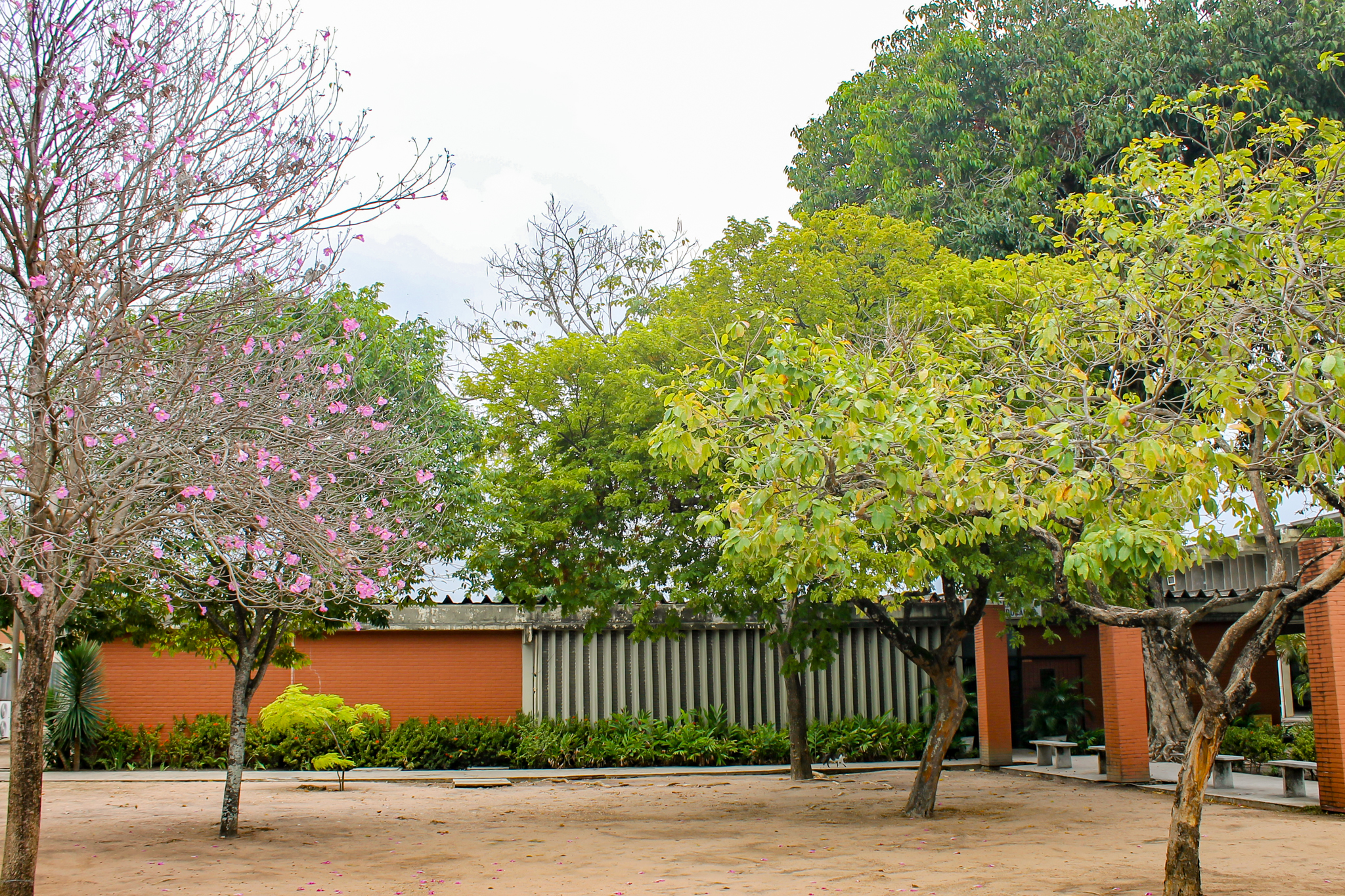 UFPB promove evento sobre economia solidária e educação popular nesta sexta-feira (6) Foto: Angélica Gouveia