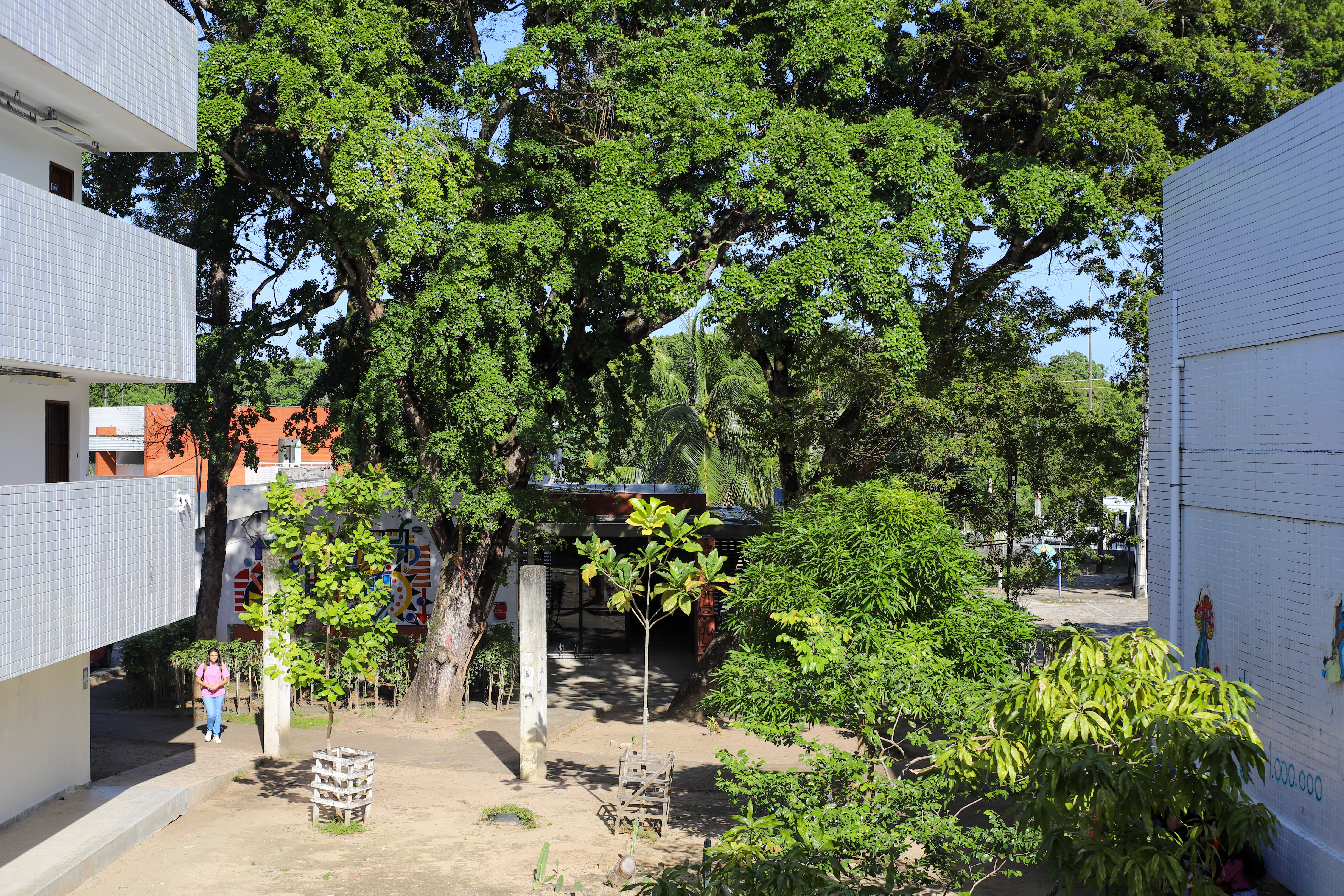 UFPB PROMOVE, NESTA QUINTA (27), CICLO DE CONVERSA SOBRE A TRAJETÓRIA E OBRAS DA ARTISTA BRASILEIRA THESSIA MACHADO Foto: Angélica Gouveia