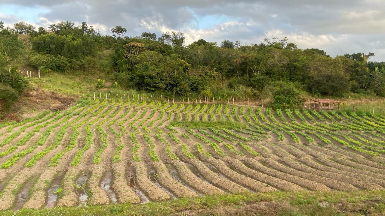Foto: Divulgação Foto: Divulgação