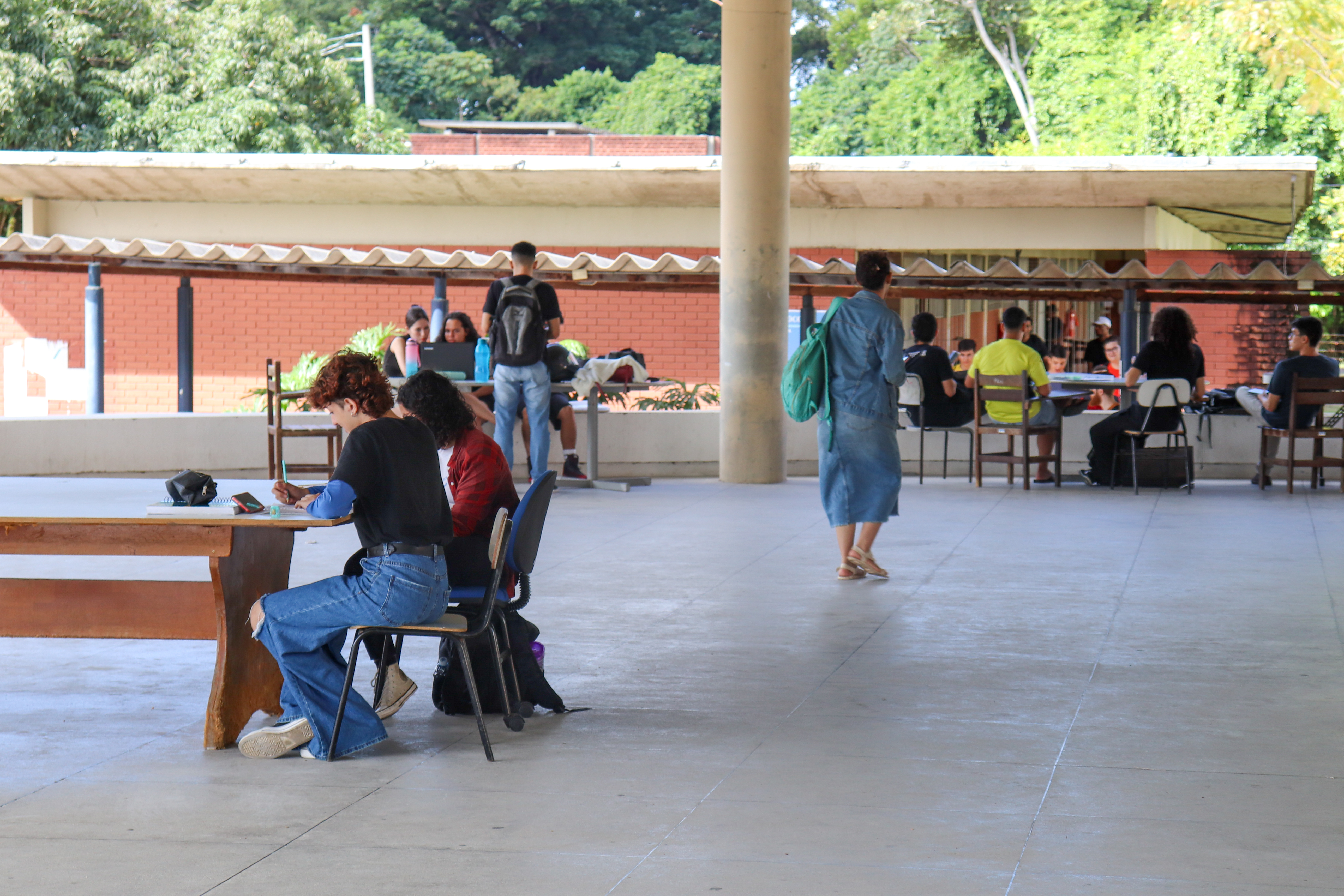 UFPB PUBLICA EDITAL DO PROBEX 2024-2025 COM 646 BOLSAS DE EXTENSÃO Foto: Angélica Gouveia