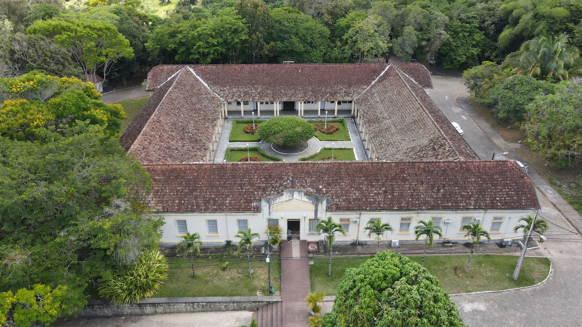 Programa de Pós-Graduação em Biodiversidade no Campus de Areia oferece 15 vagas para Mestrado